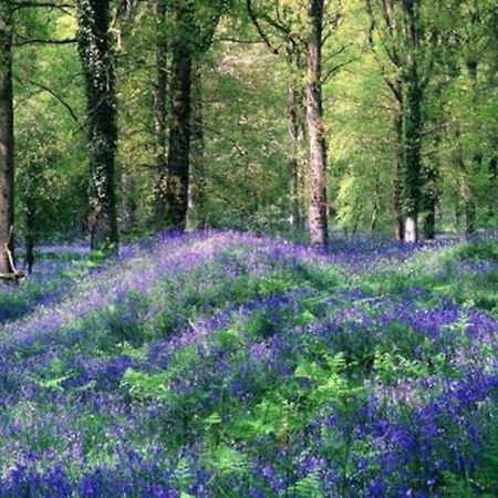 The Cider House Holiday Cottage Welsh Newton Common المظهر الخارجي الصورة
