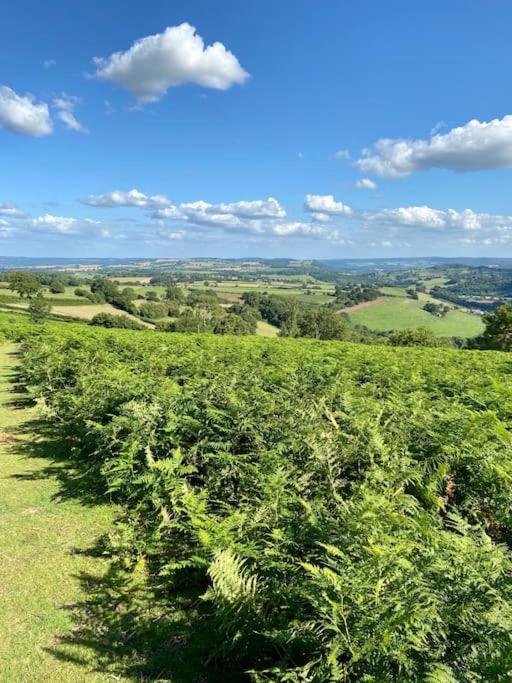 The Cider House Holiday Cottage Welsh Newton Common المظهر الخارجي الصورة